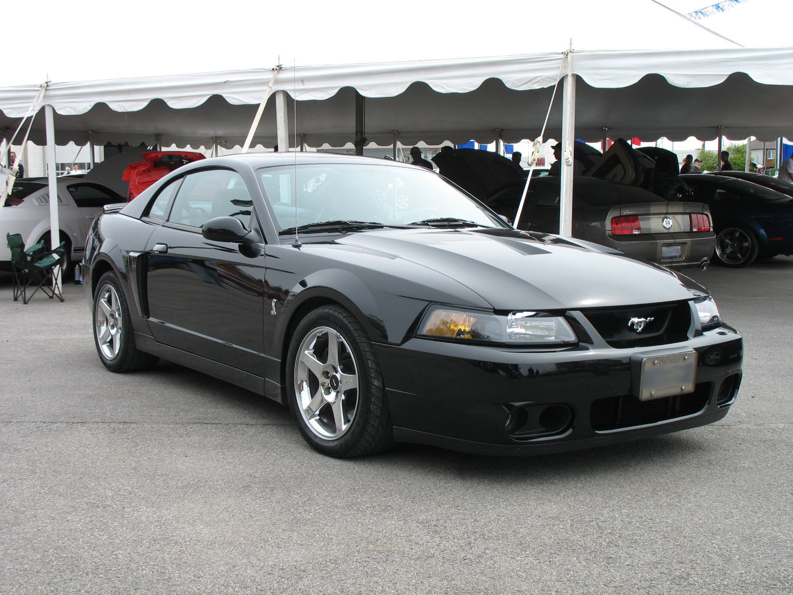 2003 Ford Mustang Cobra - The Terminator